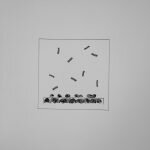 MAX EASTLEY ~ THE MIRROR AND THE LAMP (D’OR 030)